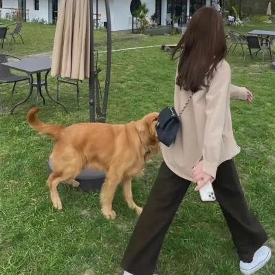 姑嫂之间